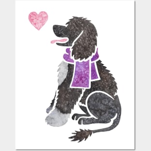 Watercolour Portuguese Water Dog Posters and Art